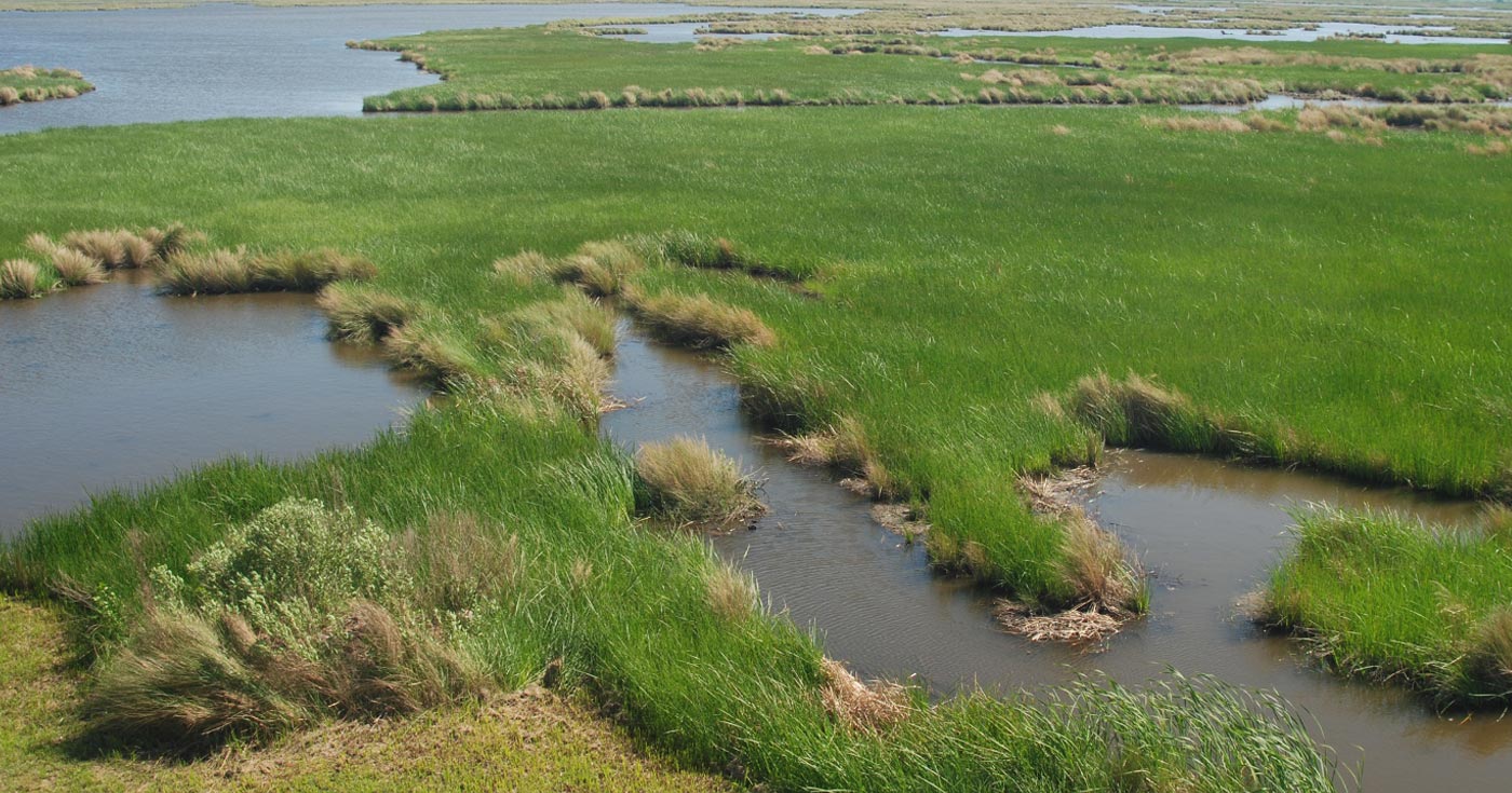 Photo: Estuary