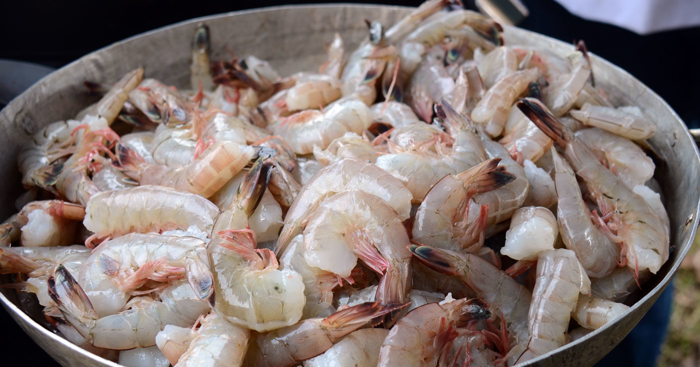 Photo: Fresh Shrimp