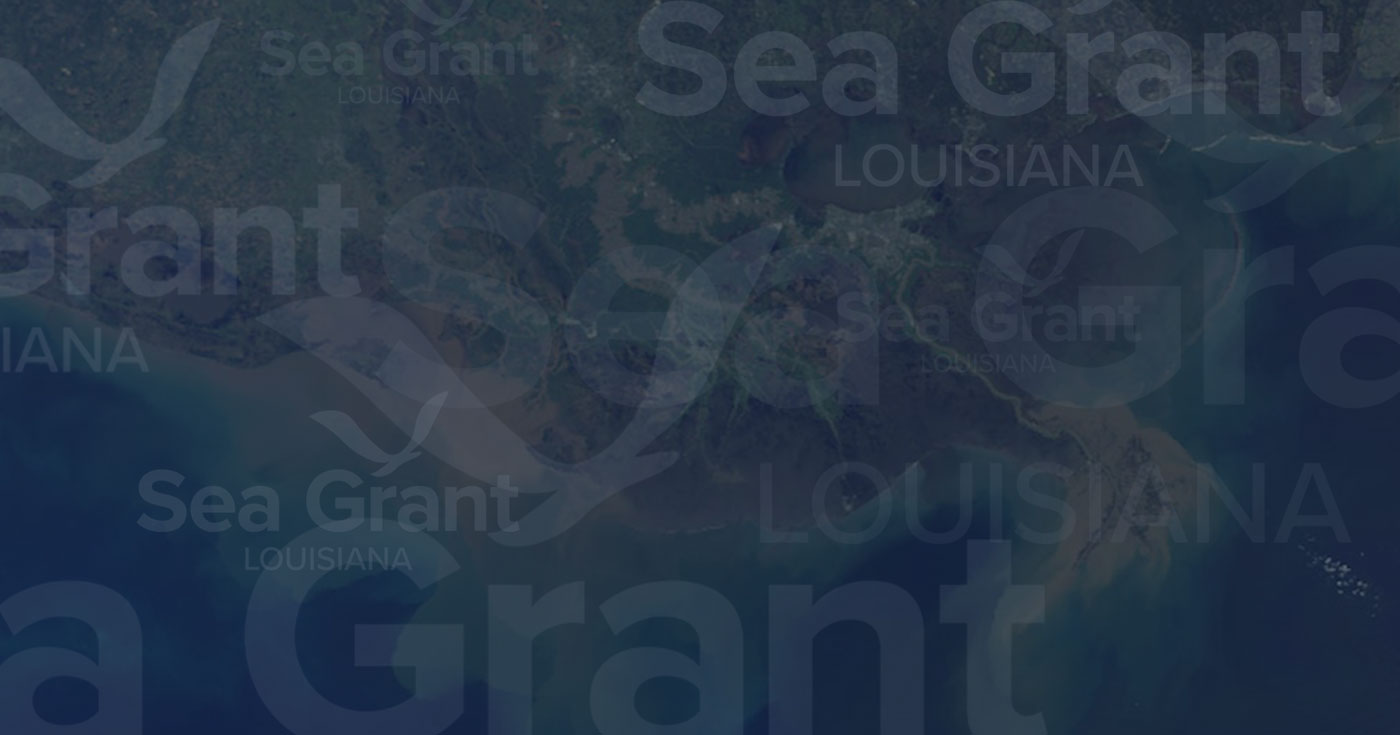 Image: Coastal Louisiana and logo