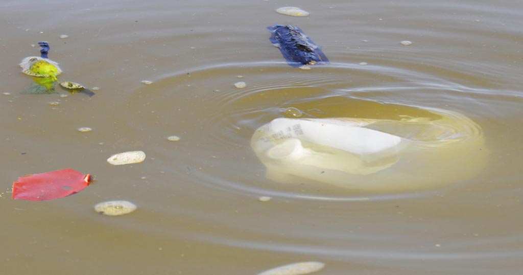 Photo: Litter