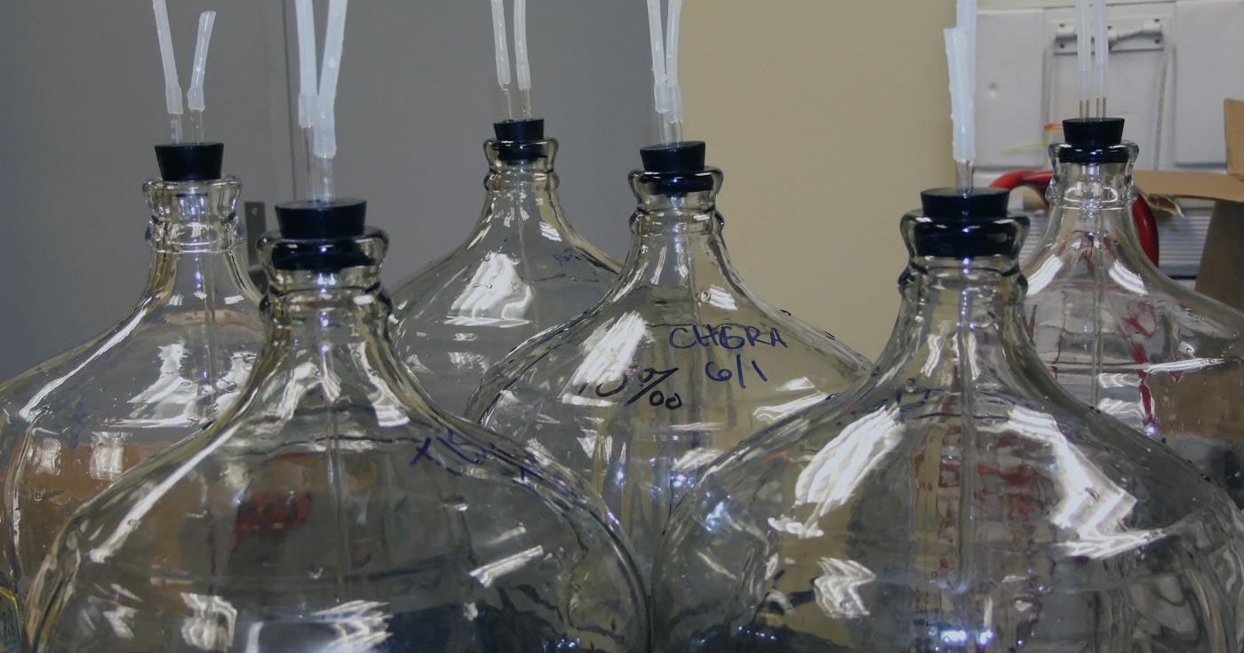 Image: Research bottles