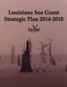 Image: Cover of Louisiana Sea Grant Strategic Plan, 2014-2018