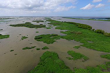 Wax Lake Delta