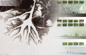 Image: Ecological succession of plants in Wax Lake Delta.
