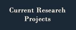 Graphic: Current Research Projects