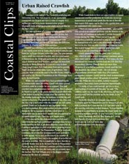 Image: Coastal Clips, No. 34, Fall 2014 cover