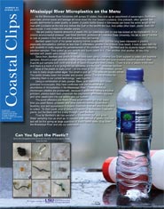 Image: Coastal Clips, No. 43, Spring 2017 cover