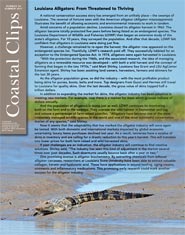 Image: Coastal Clips, No. 44, Summer 2017 cover