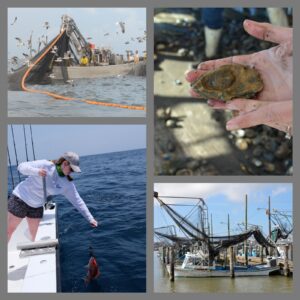 Image: Fisheries photo collage