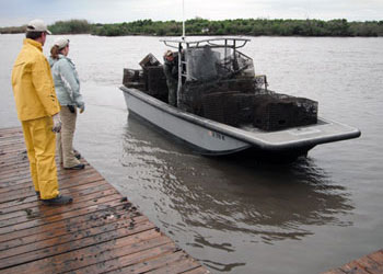 crab-trap-volunteer-boat