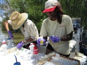 Researchers collecting samples in Wax Lake Delta.