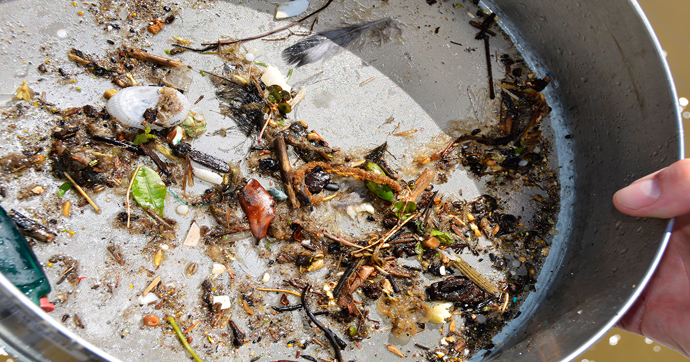 Image: Microplastics