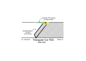 Image: Triangular Cut TED - side view